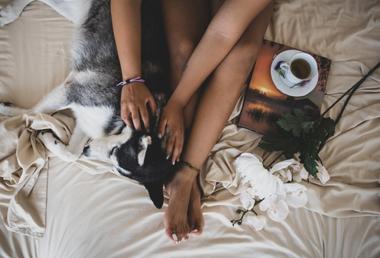 why-does-my-dog-sleep-on-me-snoozer-pet-products