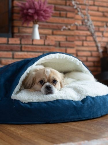 Snoozer Pet Products