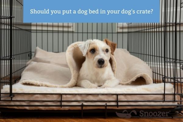 https://snoozerpetproducts.com/wp-content/uploads/2022/06/Snoozer-should-you-put-a-dog-bed-in-your-dogs-crate-Blog-Image-400x600-1.jpg