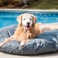 benefits-of-a-waterproof-dog-bed-snoozer-pet-products