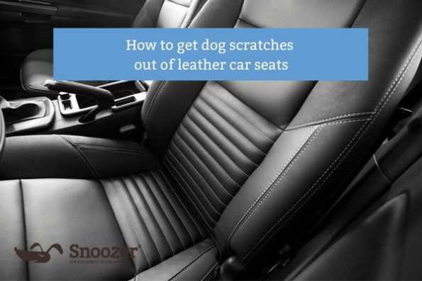Sitemapcdatahttpsomobeldreferenzcomstunning How To Get Dog Scratches Out Of Car Photos