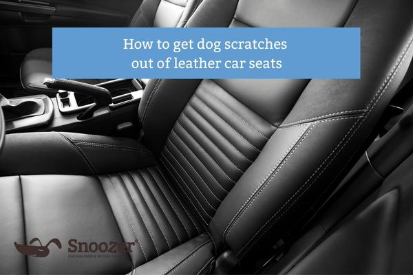 How Do I Protect My Leather Seats from My Dog?: Ultimate Guide