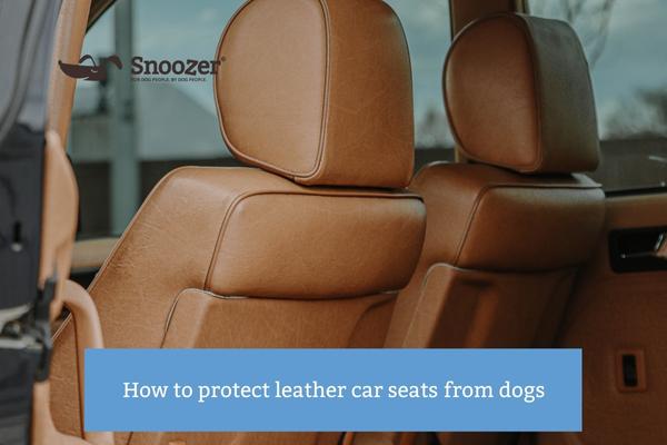 What is the Best Way to Protect Car Seats from Dogs?: Ultimate Guide