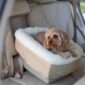 do-dogs-really-need-a-car-seat-snoozer-pet-products