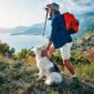 how-to-carry-a-dog-on-a-hike-snoozer-pet-products