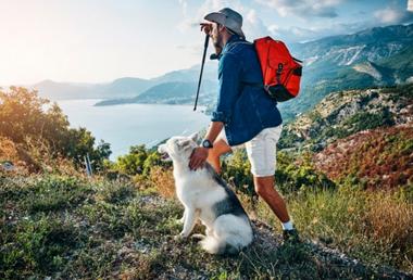 how-to-carry-a-dog-on-a-hike-snoozer-pet-products