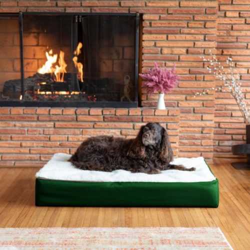 Super Orthopedic Lounge Dog Bed w/ Cream Sherpa - Green