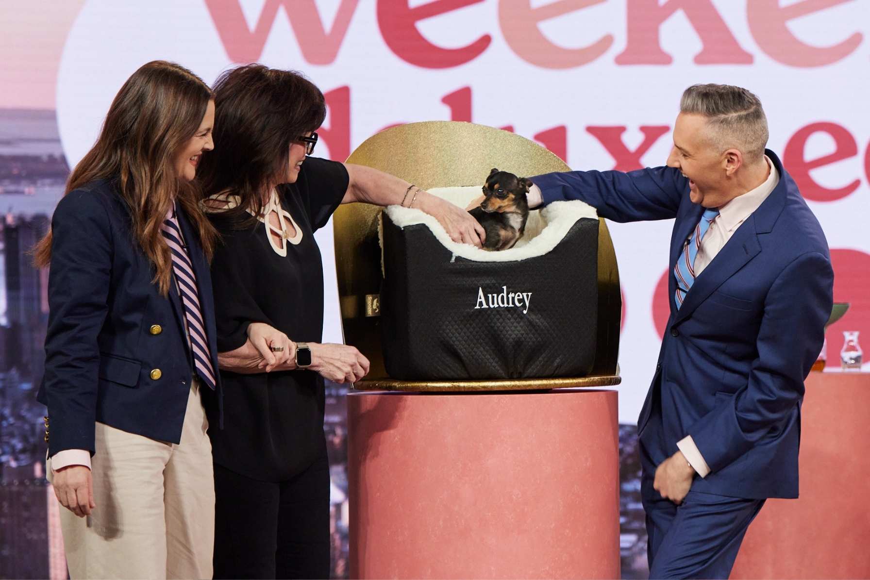 Snoozer Lookout Featured on Drew Barrymore Show!