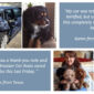 Lookout Car Seat Crash Testimonials Blog Post