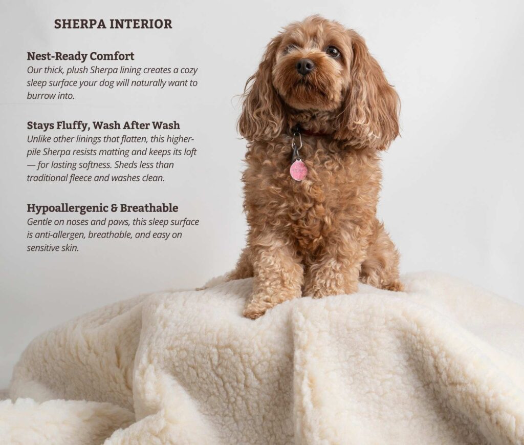 Snoozer Sherpa Interior - Lookouts and Cozy Caves