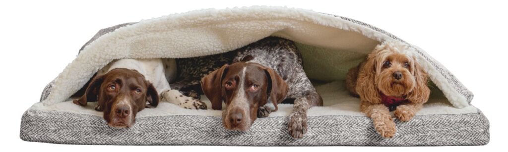Snoozer Rectangle Orthopedic Cozy Cave Dog Bed