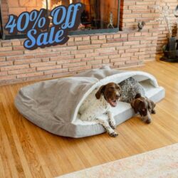 40% Off Cozy Cave Dog Beds