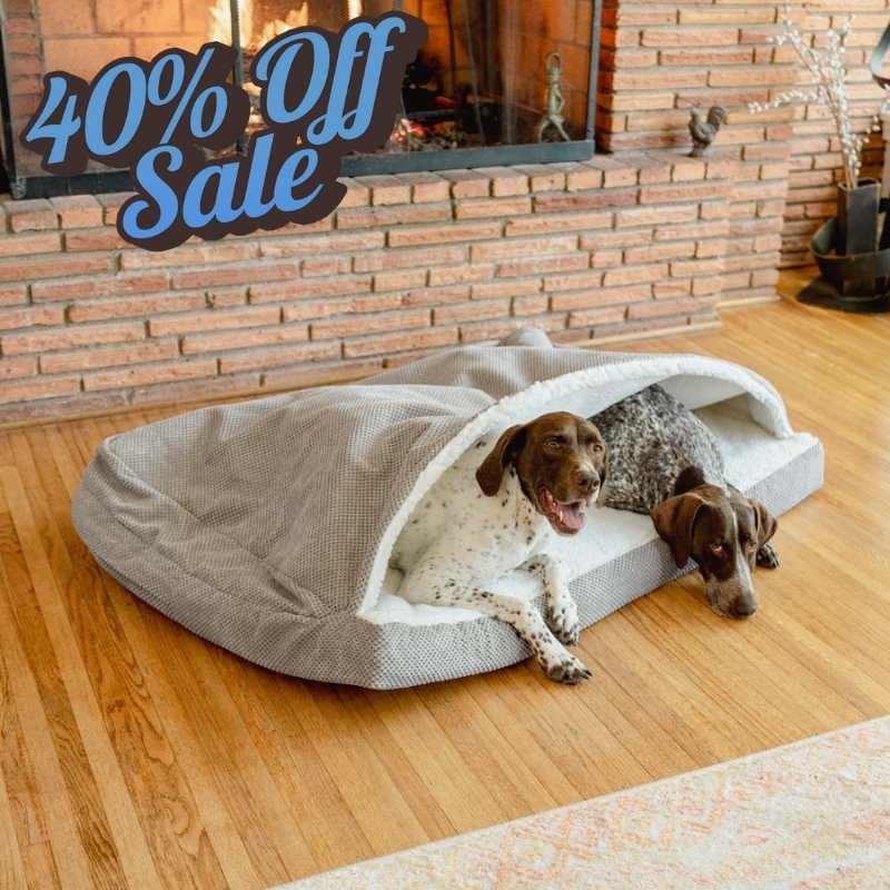 40% Off Cozy Cave Dog Beds