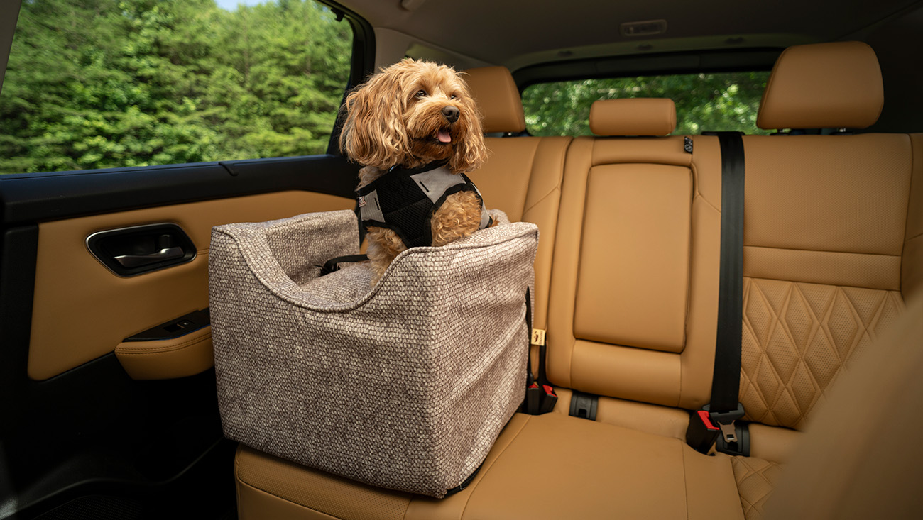 Dog riding in a Snoozer Lookout car seat