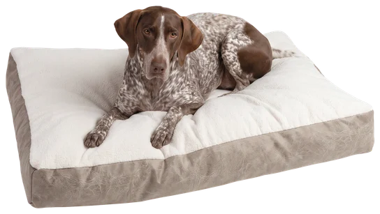 Dog bed in Cattle Call Camel