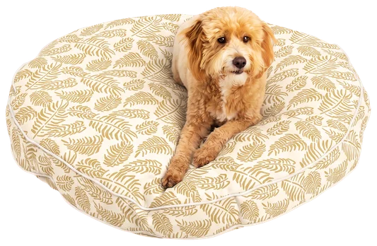 Doodle on a round bed in Presley Stucco