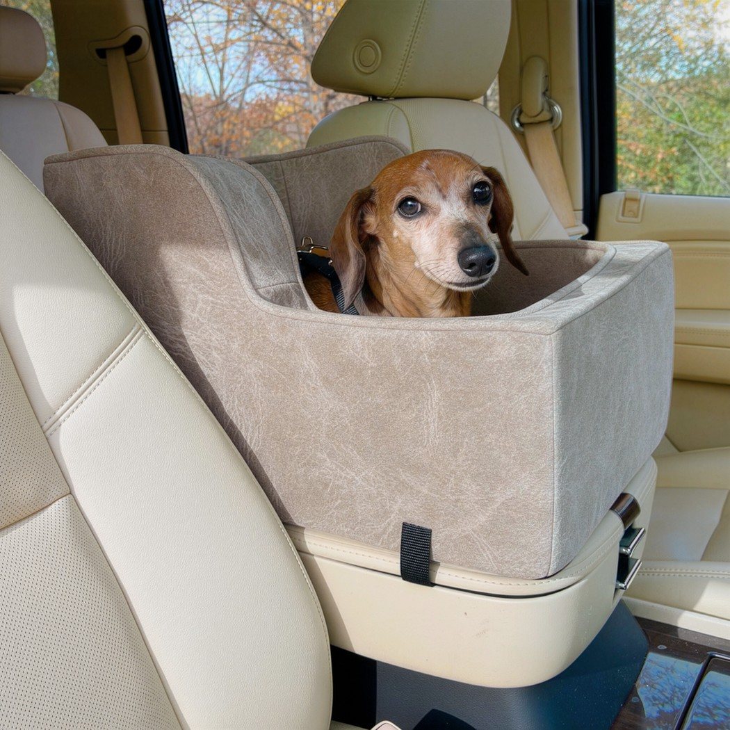 Dachshund riding in a Large Highback Console in Cattle Call Camel