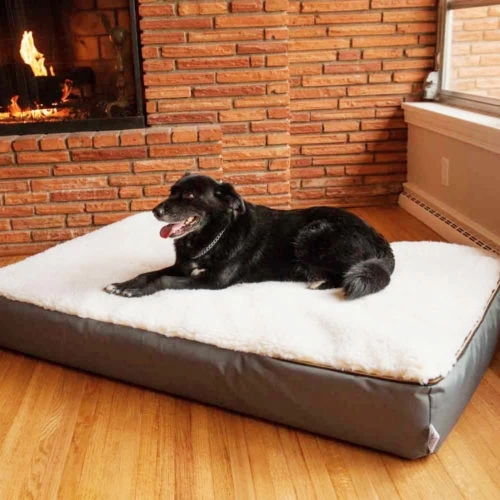 Rectangular Super Orthopedic Dog Bed Snoozer Pet Products