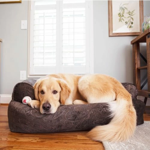 Snoozer-Show-Dog-Overstuffed-Dog-Sofa
