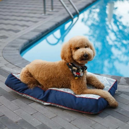 Pool & Patio Rectangle Replacement Pillow - Snoozer Pet Products